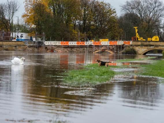 A swollen River Wharfe from yesterday rain forcing it way underneath the damged road bridge in the middle of Tadcaster, which is still under a state of repair following on from the 2015 Boxing Day floods.