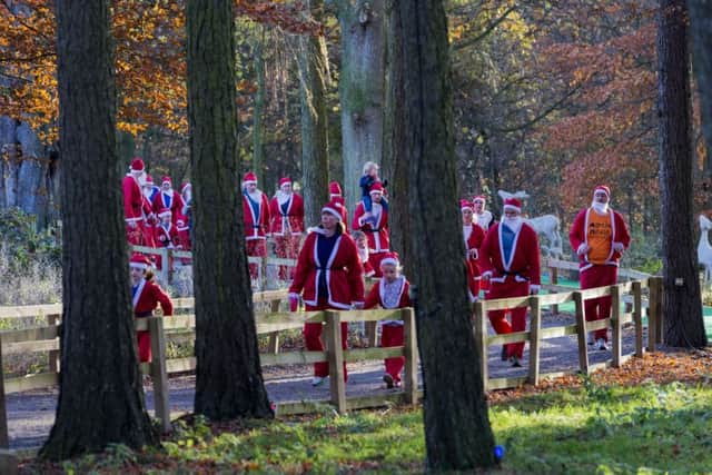 Date:27th November 2016. Picture James Hardisty.
Santa Run in aid of Martin House Hospice held at Stockeld Park, near Wetherby. Pictured Santa's making their way through the Enchanted Forest.