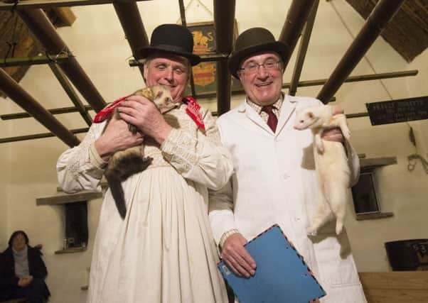 David Aynesworth holds his polecat ferret, whilst judge Simon Smith holds an Albino ferret, before the start of the evening's ferret racing at the Craven Arms pub, Appletreewick.