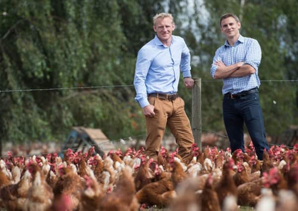 Brothers James and Adrian Potter at their environmentally friendly farm in Catton, North Yorkshire.  Photo Credit: Charlotte Graham