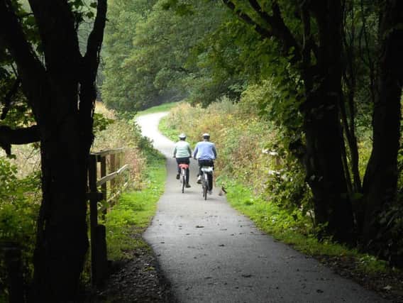 The problem is causing a danger to users of the Nidderdale Greenway paths including walkers and cyclists.