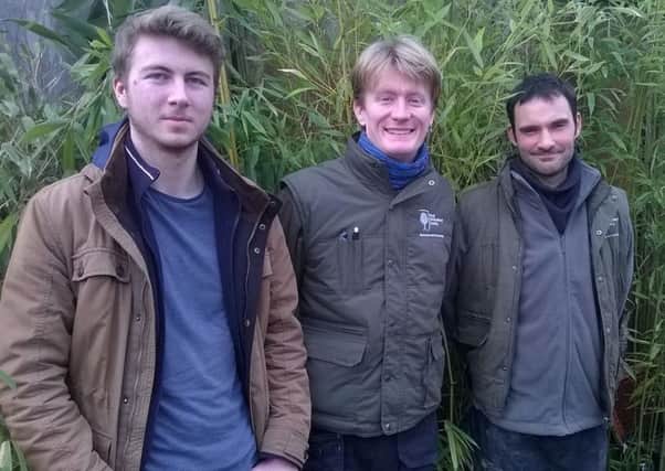 Tom Cutter, Harry Johnson-Firth and Matt Brewer have made it to the Young Horticulturist regional finals.