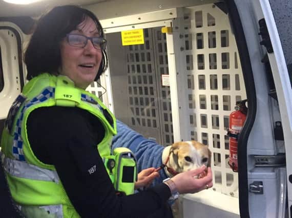 Police Constable Marie Scott with the dog