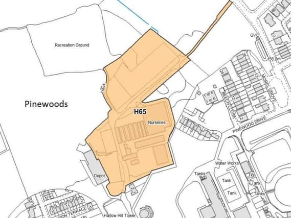 A map courtesy of of where the new trees would be sited on Harlow. (Courtesy of the Pinewoods Conservation Group)