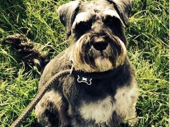 Alfie