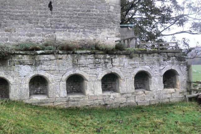 Bee Boles at Nutwith Cote. (Copyright - David Winpenny)