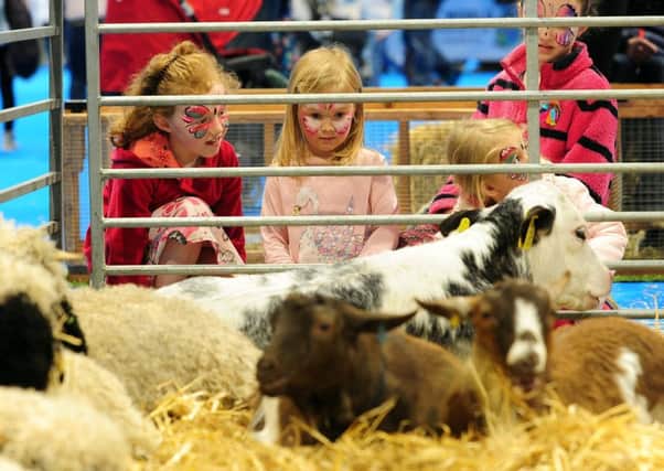 Springtime Live at Great Yorkshire Showground, Harrogate.  Pictures by Simon Hulme.