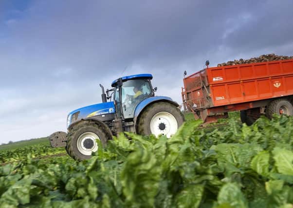 Many Yorkshire growers have turned away from sugar beet since the closure of British Sugar's factory in York.