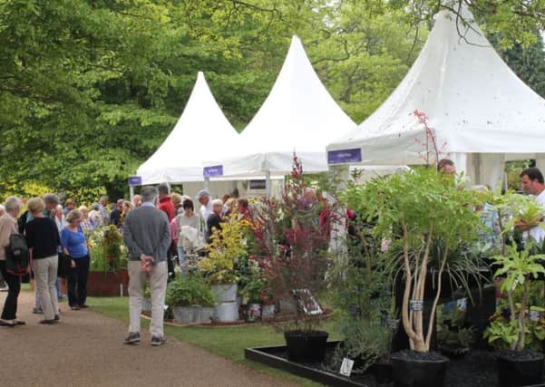 Harlow Carrs first flower show attracted 12,000 visitors.