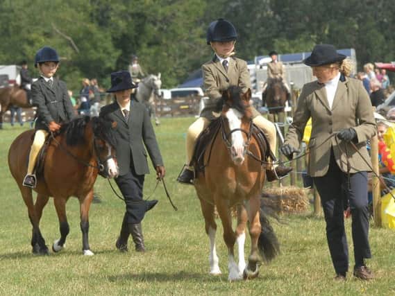 Organisers have got another jam-packed day of fun for everyone at this year's Weeton Show