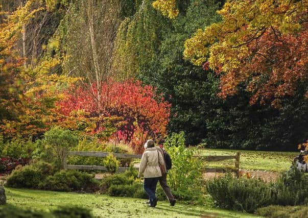 Harlow Carrs woodland is starting to come alive with vibrant colours as we move into autumn.