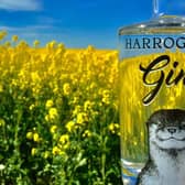 Gin treat at Ripley Castle - Harrogate Tipple will be among the great gins on offer.