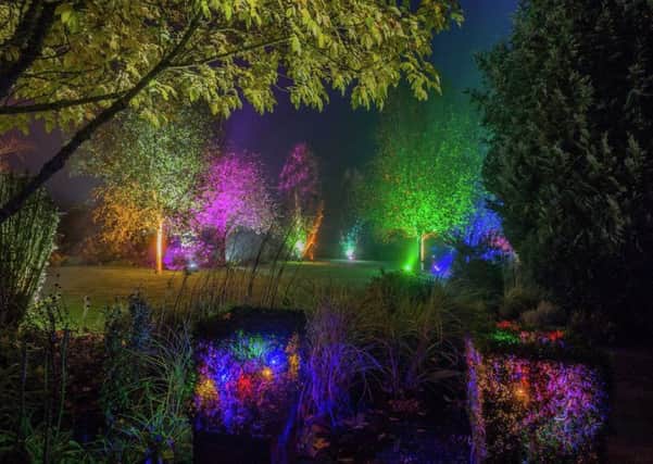 Glow Winter Garden Illuminations.  Photo: RHS Oli Kite.