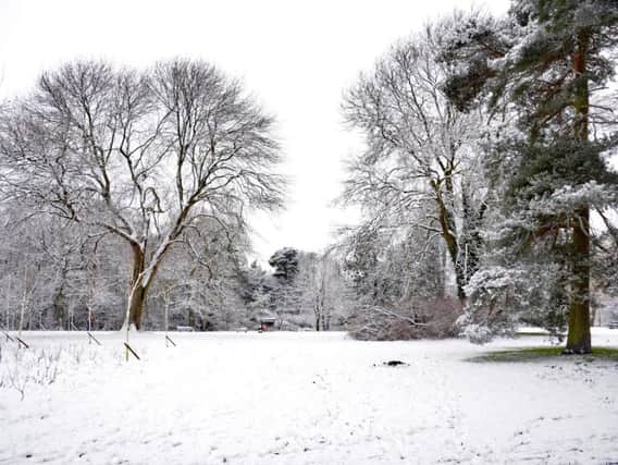Dr Roger Litton took this picture in Harrogate's Valley Gardens this morning.