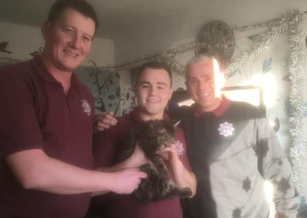 North Yorkshire Fire & Rescue photo taken after officers rescued a 12-week-old kitten from inside a living room sofa at a family home in Tadcaster.