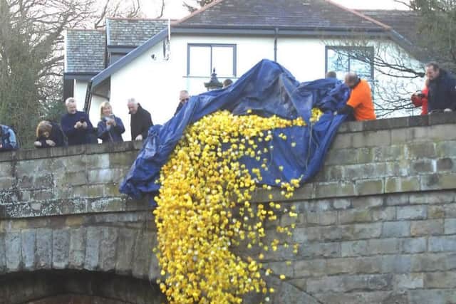 5,000 plastic ducks were launched into the river
