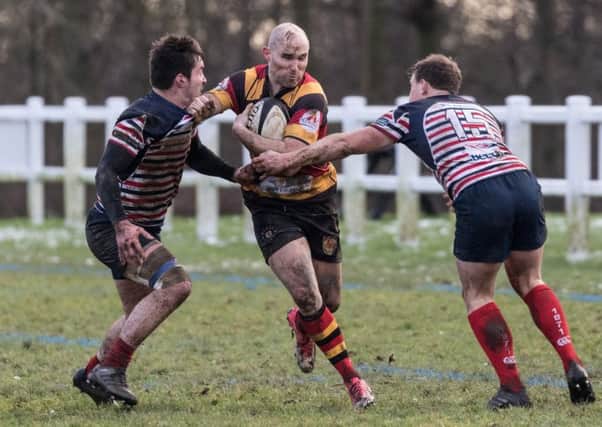 Dave Doherty on the charge during Harrogate RUFC's home win over Birkenhead Park. Picture: Keith Hunt