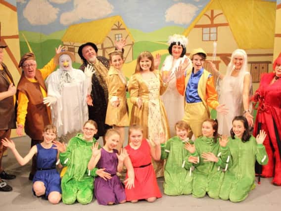 Cast of Mother Goose. Picture by Chris Iredale