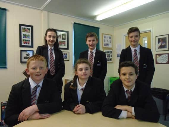 Roughly 10 pupils from year seven to nine are to become anti-bullying ambassadors