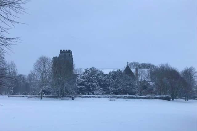 Pictured is Christ Church Oval yesterday, by Erica Johnson, FeatherSmailesScales (s).