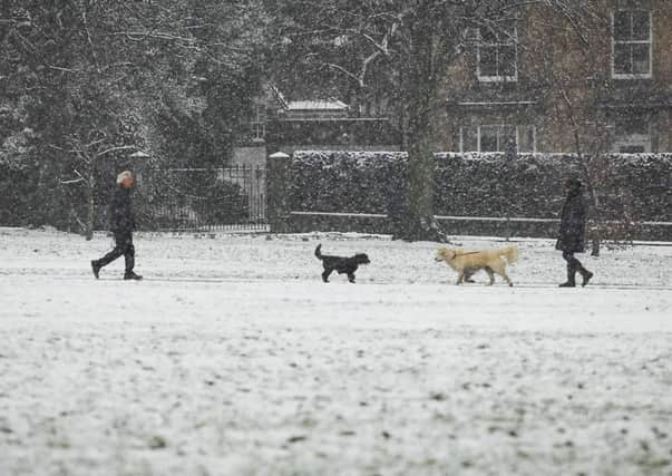 Harrogate residents on The Stray during the wintry weather last week.