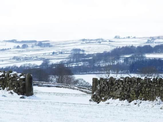 A snowy scene captured in the Harrogate district this week.