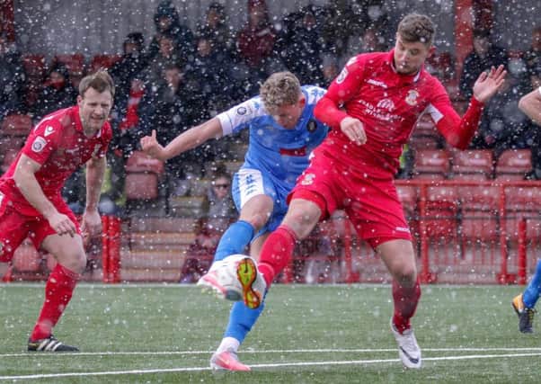 Harrogate Town's Jake Wright fires a shot goalwards in the snow at Tamworth. Picture: Town Pix