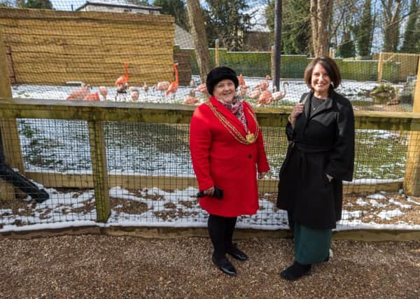 Date: 19th March 2018.
Picture James Hardisty.
Official opening of the new Humboldt Penguins and Chilean Flamingos encloures at Lotherton Hall, Bird Garden, near Leeds. Pictured Lord Mayor of Leeds Councillor Jane Dowson, with councillor Lucinda Yeadon, admiring the new Flamingos encloure.