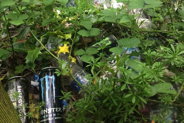 Cans and general litter on the embankment. Credit: Coun Richard Cooper