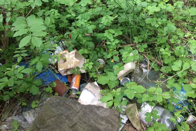 Cans and general litter on the embankment. Credit: Coun Richard Cooper