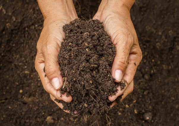 Would you want a compost funeral? (Photo: Shutterstock)
