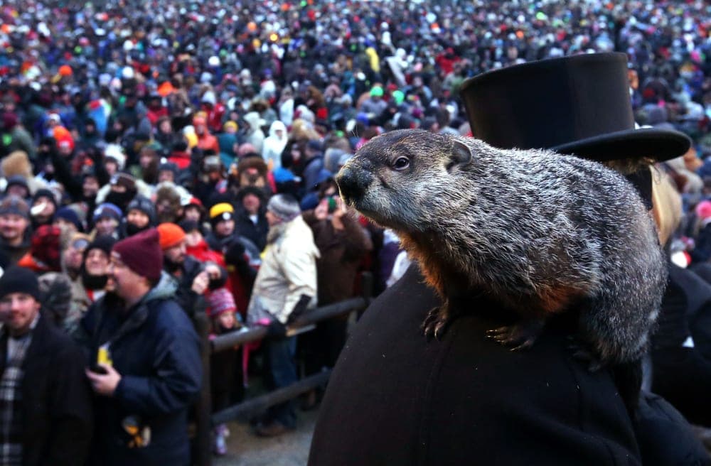 It’s Groundhog Day today - this is the meaning behind the US celebration